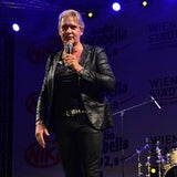 Donauinselfest 2013