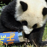Fu Hu feiert seinen ersten Geburtstag