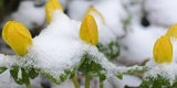 Erneut Schnee im Anmarsch