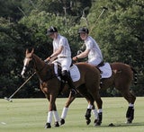 Prinz William & Harry beim Polo-Turnier in Ascot
