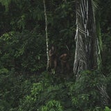 Indios ohne Kontakt zur Zivilisation entdeckt