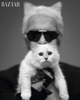 Choupette Lagerfelds erstes Shooting
