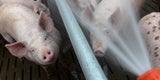 Auf Gluthitze folgt Donnerwetter