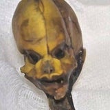 Alien-Skelett entdeckt?