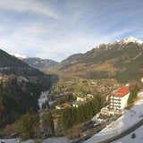 Turbo-Frühling mitten im Jänner