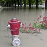 Alle Bilder: Hochwasser in Österreich