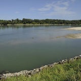 Totes Baby in Donau gefunden