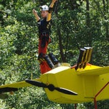 Dschungelcamp