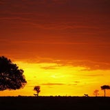 Spektakuläre Sonnenuntergänge