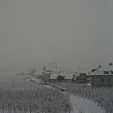 Südtirol: Palmen im Schnee