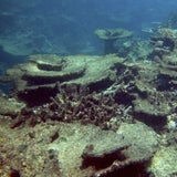 Great Barrier