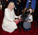 Camilla geht mit Hunden auf Tuchfühlung