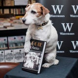 "Uggie" aus "The Artist": Tierische Biographie