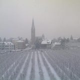 Südtirol: Palmen im Schnee