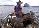 Überschwemmungen in Australien