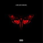 Lil Wayne stellt neues Album vor