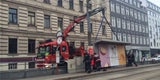 Todes-Sturm: Joggerin von Ast erschlagen
