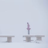 Wintereinbruch im Frühling