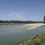 Totes Baby in Donau gefunden
