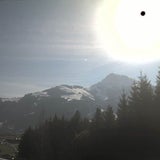 Rekord-Frühling startet früh wie nie