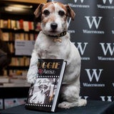 "Uggie" aus "The Artist": Tierische Biographie