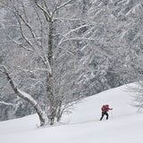 Gaisberg