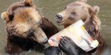 Auf Gluthitze folgt Donnerwetter