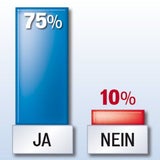 Bundesheer Befragung