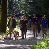 Salzburger Luchs weiter auf der Flucht
