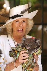 Prinz Charles und Camilla in Australien