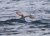 Anne Hathaway: Rettung in letzter Not