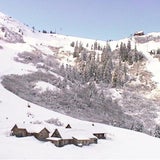 Die besten Bilder aus der Steiermark