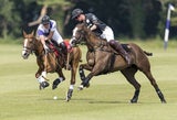 Prinz William und Prinz Harry beim Polo-Turnier