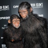 So vermarktet Seal Heidis Kinder