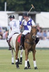 Prinz William und Prinz Harry beim Polo-Turnier
