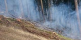 Waldbrandgefahr im Wienerwald