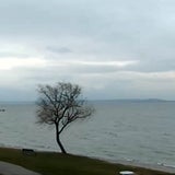 Die besten Bilder aus dem Burgenland