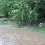 Schwere Unwetter in Gemeinde Wienerwald