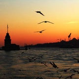 istanbul2_sxc
