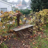 Bursch nach Flucht gelähmt