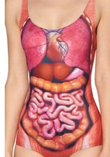 Anatomie-Trend