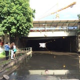 Überschwemmungen in Döbling