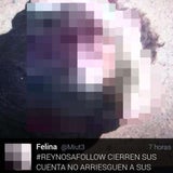 Felina