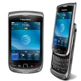 bb_torch_ds
