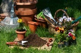 Gefahr im Februar: Diese häufigen Fehler ruinieren Ihren Garten!