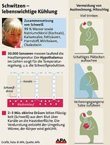 schwitzen