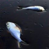 Unbenannt-6