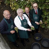 2014 wird ein schwieriges Wein- Jahr