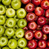 Lebensmittel gegen Allergien