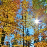 Österreich im Herbst
